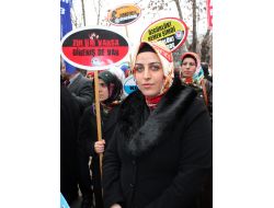 Başörtüsü Kamuda Da Serbest Olsun