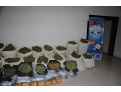 Adana'da 282 Kilogram Esrar Ele Geçirildi