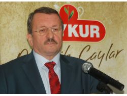 Çaykur’un 2023 Hedefi 50 Bin Ton Yaş Çay İhracatı