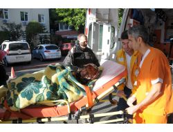 Mantar Toplarken Kaybolan Yaşlı Kadını 'Ezel' Buldu