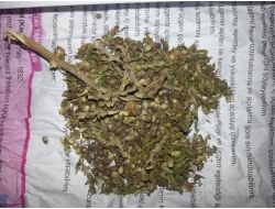 Cizre’de Kaçakçılık Operasyonu