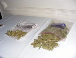 Viranşehir'de Uyuşturucu Operasyonu Yapıldı