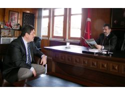 Sarıulak Zeytini İçin Patent Hazırlıkları Tamamlandı