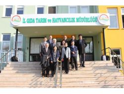 Güney Kore Tarım Bakanlığı Heyeti Bursa'da İncelemelerde Bulundu