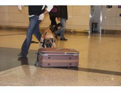 Milyonluk Uyuşturucu Operasyonu