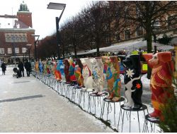 Dünyanın Bütün Ayıları Barış İçin İsveç’te El Ele