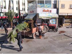 Tarsus'ta Park Düzenlemesi Yapılıyor