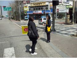 Koreli ‘yeşil Anneler’, Trafik Lambalarında Nöbet Tutuyor