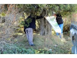 Akdağ’da Geyiklere Kışlık Yem Atıldı