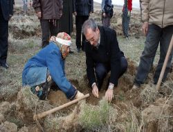 Dsi İşçileri Ilgın'da 70 Bin Fidan Dikti