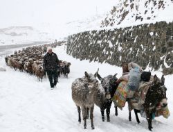 Iğdırlı Çobanların Zorlu Yolcuğu