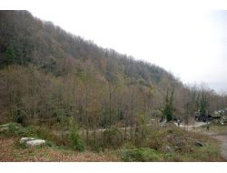 Sapanca'nın Ekolojik Dengesini Bozacak Taş Ocağına Tepkiler Devam Ediyor