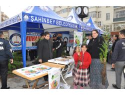 Şahinbey'de 41 Bin Ağaç Toprakla Buluşuyor