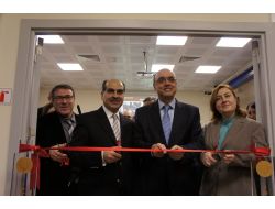 Antik Gemilerin De Laboratuvarı Oldu