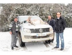 Sivas’ta Kaçak Avcılara 40 Bin Tl Ceza