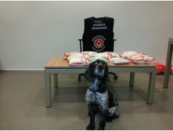 Sabiha Gökçen'de 80 Bin Adet Uyuşturucu Hap Ele Geçirildi