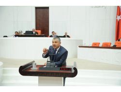 Mhp’li Yılmaz, Orman İşçisine Kadro İstedi!