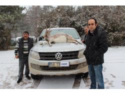 Kaçak Avcıya Yabani Keçi Avı Pahalıya Mal Oldu