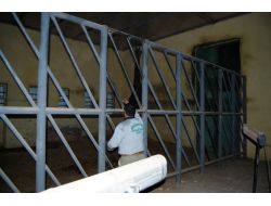 Bu Hayvanların Kışlık Menüleri Özel, Isıtma Sistemleri Güzel