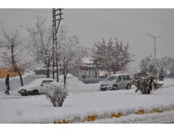 Doğuda Kış: Muşta 145 Köy Yolu Ulaşıma Kapandı