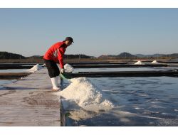 Güney Kore’de ‘tuz Turizmi’ (Özel)