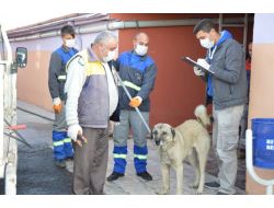 Kocasinan’dan Sokak Köpeklerine Kış Koruması