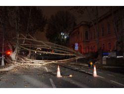 Fırtına Asırlık Çınarı Kökünden Söktü