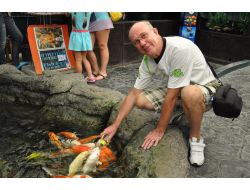 Bu Balıklar Biberon İle Süt İçiyor ‏(özel )