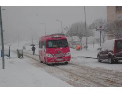Yalova'da Kar Yağışı Etkili Oluyor