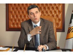 'Yeni Yıl İçin Ağaç Kesmeyin, Fidanları Ücretsiz Verelim'