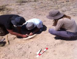 Nevşehir’de 10 Milyon Yıllık Gergedan Fosili Bulundu