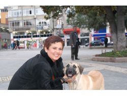 Çocuklara Hayvan Sevgisini Aşılayacak Proje