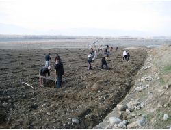 Tunay Gıda Erzincan'da Meyveciliğe Yatırım Yapıyor