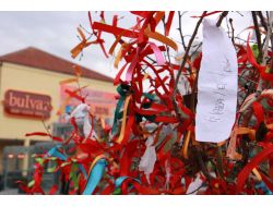 Avm'nin Dilek Ağaçlarına Müftüden Eleştiri