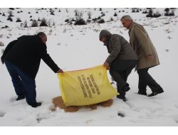 Muş’ta Kanatlı Hayvanlar İçin Doğaya Yem Bırakıldı