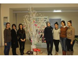 Zirve Üniversitesi, Lösemili Çocuklar İçin Proje Başlattı