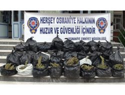 Osmaniye'de Kubar Esrar Ele Geçirildi