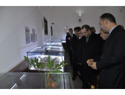 Bakan Dinçer: Varsa Bir Durum, Kararımızı Tekrar Gözden Geçiririz