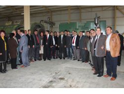 Ekonomi Bakan Yardımcısı Sever, Silifke'de İncelemelerde Bulundu