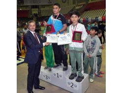 Emine Nakıboğlu, Masa Tenisinde Dereceleri Topladı