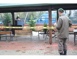 Sakarya’da Cinayet