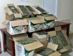 Gaziantep’te Uyuşturucu Operasyonu