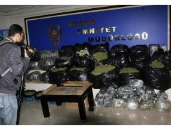 Esrarın Kokusunu Naftalinle Bastırıp Kaçıracaklardı!