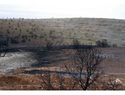 Botaş Boru Hattında Çıkan Yangın