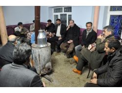 Tunceli'nde Kış Uykusuna Yatmayan Ayı Köylülere Saldırdı