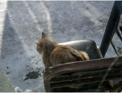 Sarıkamış'ta 2 Metrelik Buz Sarkıtları Oluştu