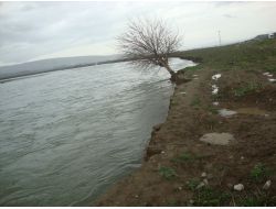 Yatağı Değişen Batman Çayı Kara Yolunu Tehdit Ediyor