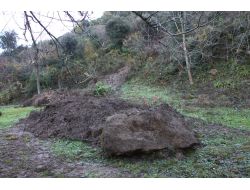 Kesilen Ağaçlar Ve Yapılan Yolun Heyelana Sebep Olduğu İddia Ediliyor