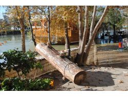 Kışlık Yakacaklarını Manavgat Irmağı'ndan Topluyorlar