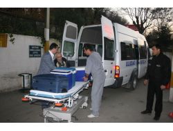 82’lik Ninenin Organları Sağlam Çıkınca 3 Kişiye Umut Oldu